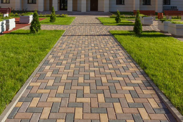 Best Driveway Drainage Solutions in Pineland, TX