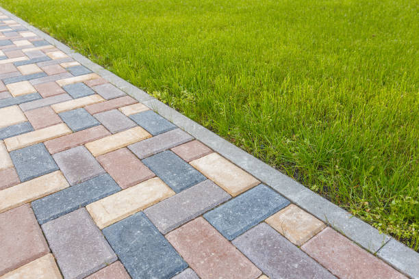 Best Concrete Driveway Paving in Pineland, TX